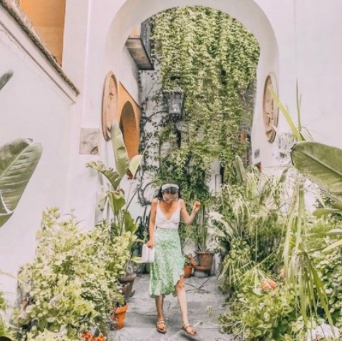 A narrow leafy passageway between the historic houses