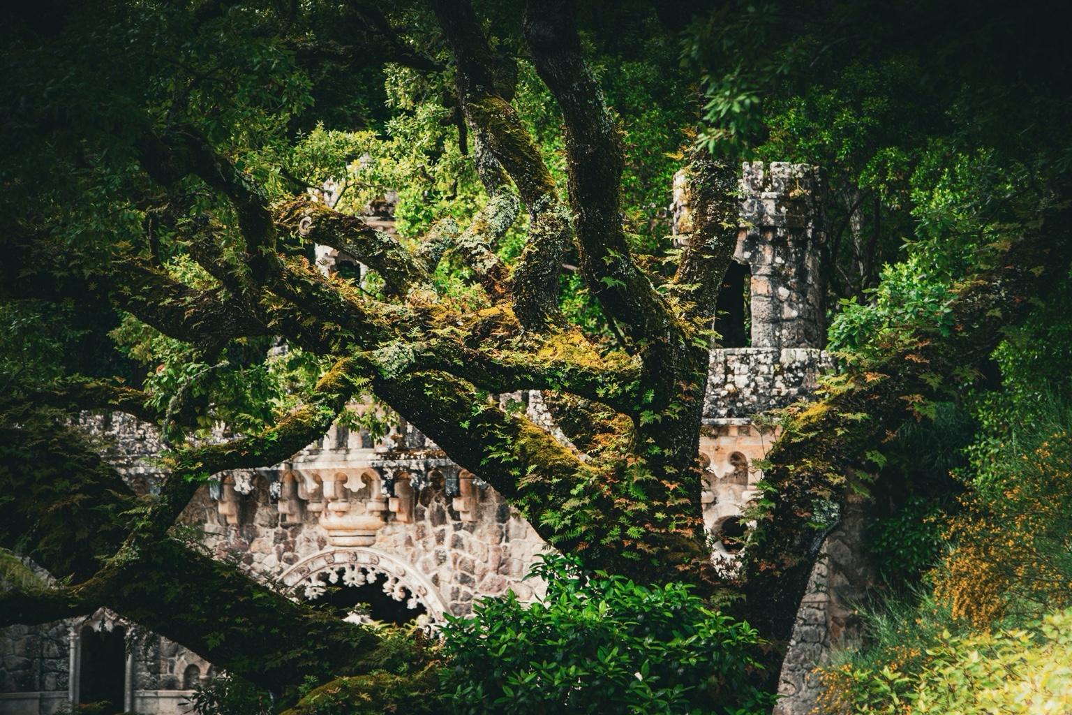 Sintra: Between the Ocean and the Hills